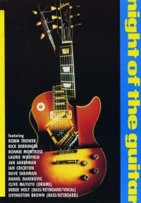 Night Of The Guitars II